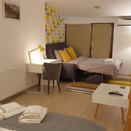 Fagaras Cosy Flatヴィラ エクステリア 写真