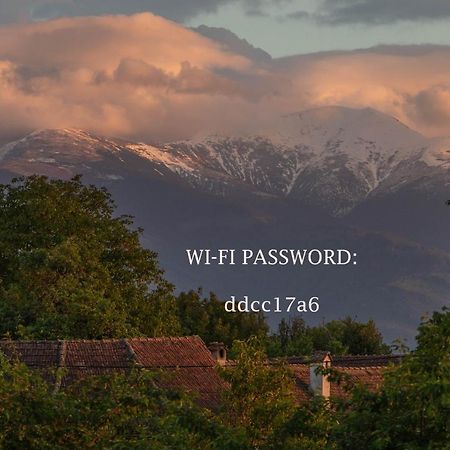 Fagaras Cosy Flatヴィラ エクステリア 写真