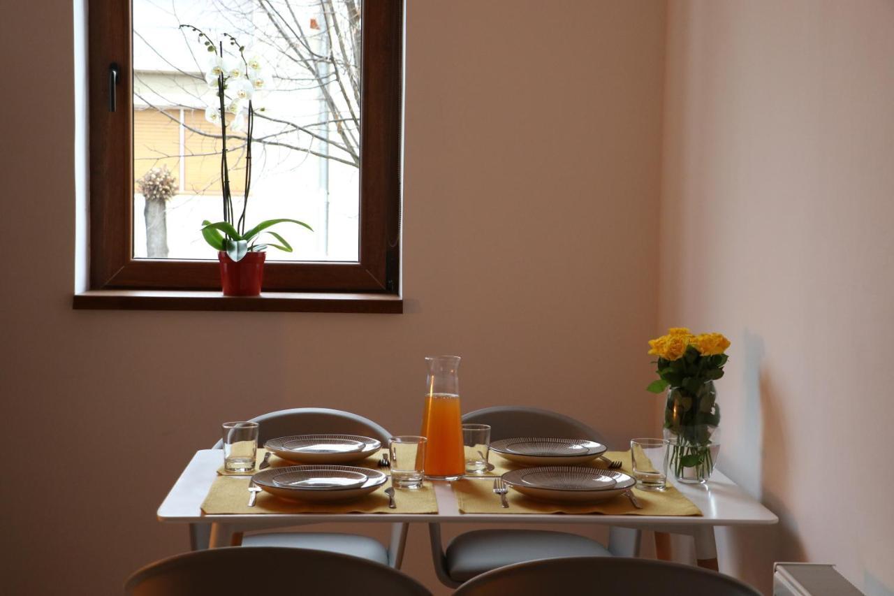 Fagaras Cosy Flatヴィラ エクステリア 写真